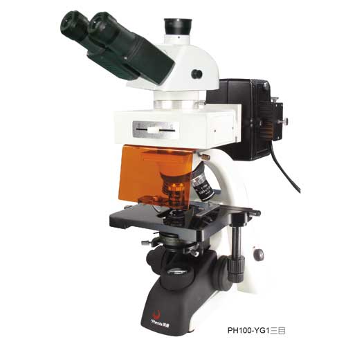 PH100-YG1三目.jpg PH100-YG1三目.jpg